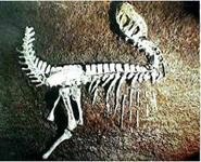 上游永川龍 上游永川龍