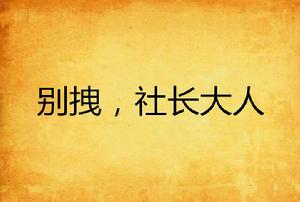 別拽,社長大人 別拽,社長大人