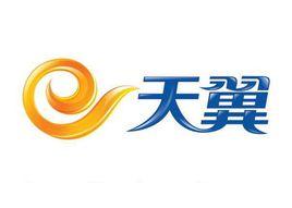 電信天翼 電信天翼