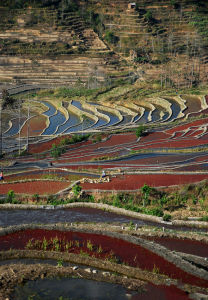牛角寨景區 牛角寨景區