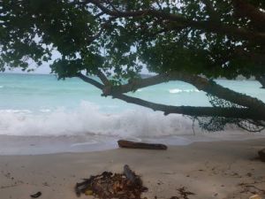 薩帕魯阿島 薩帕魯阿島