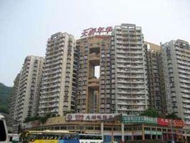 天驕年華 天驕年華