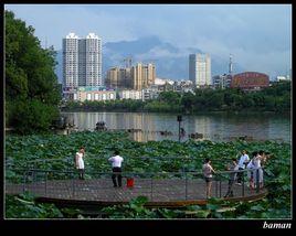 能仁寺社區 能仁寺社區