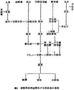 澱粉原料植物 澱粉原料植物