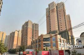 德商金沙10年 德商金沙10年