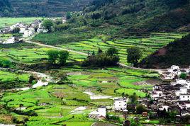 黑龍江北安農場