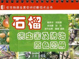 石榴病蟲害及防治原色圖冊 石榴病蟲害及防治原色圖冊