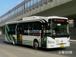 長春公交202路 長春公交202路