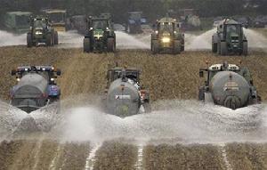 微軟全國廣播公司 節目