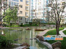 徐州華廈水雲間 徐州華廈水雲間