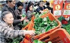 菜價高企促使中國“菜籃子工程”再發力