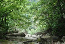 中國森林氧吧 中國森林氧吧