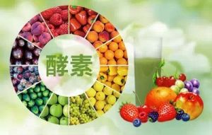 生物催化劑酵素