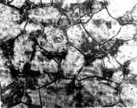 新型陶瓷材料 新型陶瓷材料