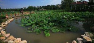 津南農業科技園 津南農業科技園