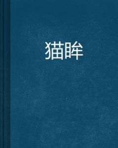 貓眸 貓眸