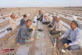 于田縣喀孜納克開發區 于田縣喀孜納克開發區