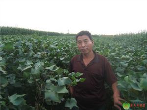 東張固村 東張固村