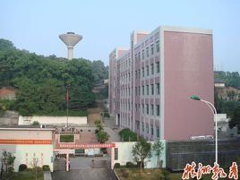 田心中學 田心中學