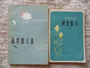 《孫犁散文選》 《孫犁散文選》