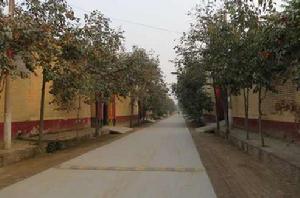 東王團村 東王團村