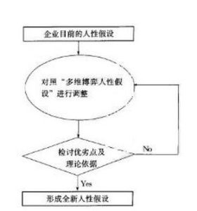 組織行為中的人性理論 組織行為中的人性理論