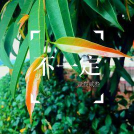 不一定[壹叄貳叄音樂專輯不一定]