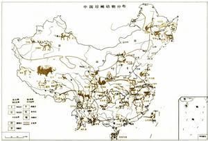 中國動物地理 中國動物地理
