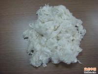 珍珠纖維 珍珠纖維