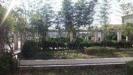 龍苴中學 龍苴中學