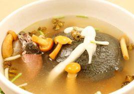 蘑菇燉山瑞 蘑菇燉山瑞