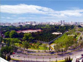 順成公園 順成公園