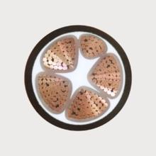 額定電壓0.6/1kV塑膠絕緣阻燃耐火電力電纜