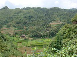 老麻寨村 老麻寨村