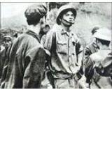 木棉花開的季節 木棉花開的季節