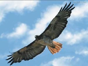 上海瑤發實業有限公司