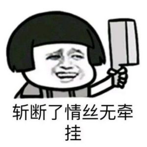 一人我飲酒醉[網路用語]