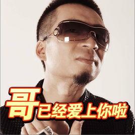 哥已經愛上你啦[劉原龍歌曲]