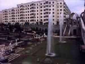 藍盾家園 藍盾家園