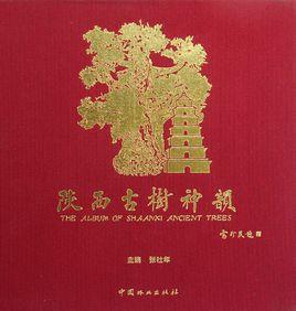陝西古樹神韻 陝西古樹神韻