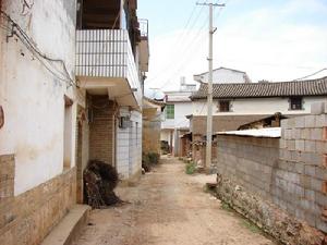 密桶樹村 密桶樹村