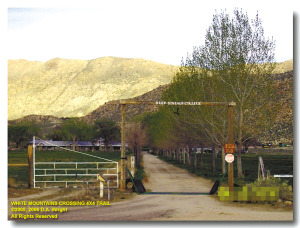 幽泉學校 幽泉學校