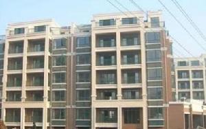 映山菁華 映山菁華