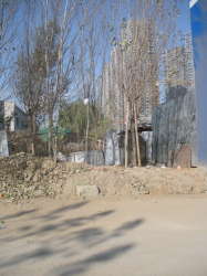 長島二期 長島二期