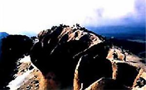 膠遼台隆區主要斷裂 膠遼台隆區主要斷裂