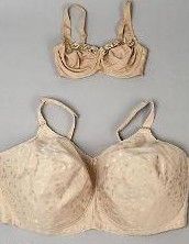 《大英帝國胸部史》 《大英帝國胸部史》