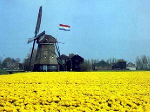 荷蘭風車