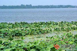 黃梅太白湖 黃梅太白湖