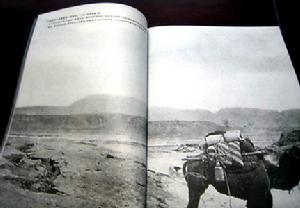 （圖）海原大地震