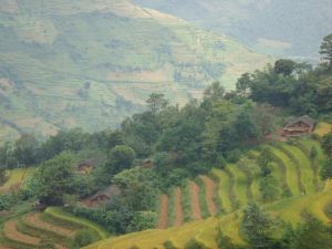 花山田村 花山田村